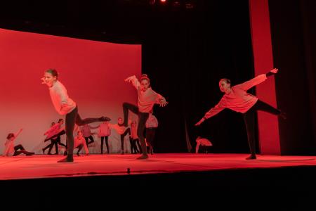 Območna revija plesnih skupin Finesa plesa 2023 (53)